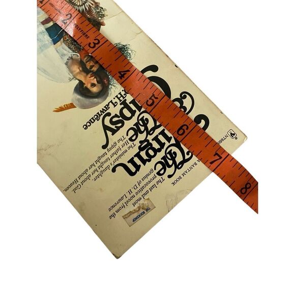 The Virgin And The Gipsy Paperback Book DH Lawrence Novel - Picture 9 of 12